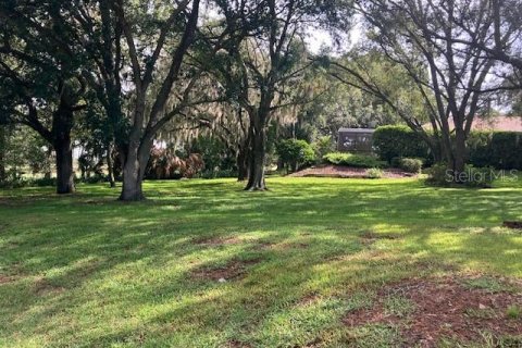 Land in Howey-in-the-Hills, Florida № 1806678 - photo 3