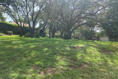 Land in Howey-in-the-Hills, Florida № 1806678 - photo 4