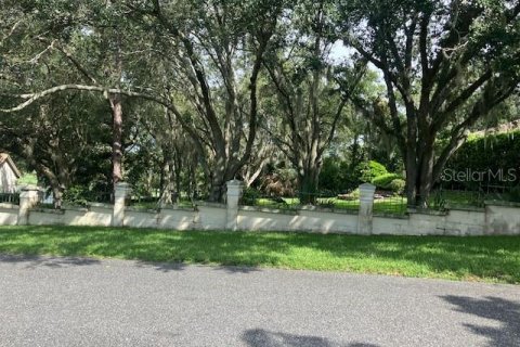 Land in Howey-in-the-Hills, Florida № 1806678 - photo 2