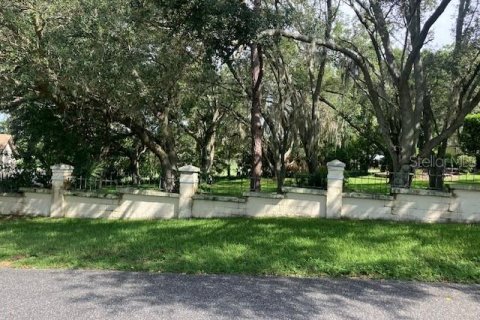 Land in Howey-in-the-Hills, Florida № 1806678 - photo 1