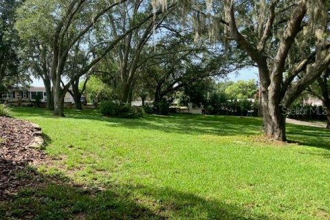 Land in Howey-in-the-Hills, Florida № 1806678 - photo 6