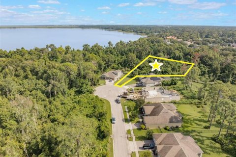 Land in Ocoee, Florida № 1915755 - photo 2
