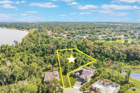Land in Ocoee, Florida № 1915755 - photo 4