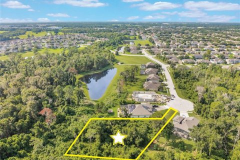 Land in Ocoee, Florida № 1915755 - photo 3