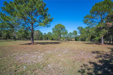 Villa ou maison à vendre à Lakeland, Floride: 5 chambres, 385.27 m2 № 2166889 - photo 6