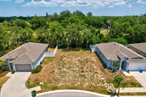 Land in Bradenton, Florida № 1561395 - photo 8