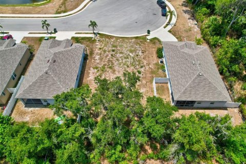 Land in Bradenton, Florida № 1561395 - photo 6