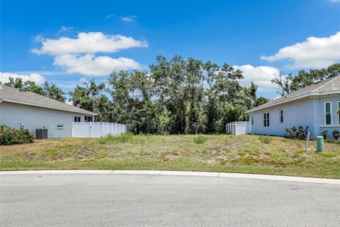 Land in Bradenton, Florida № 1561395 - photo 2