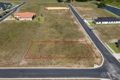 Land in Auburndale, Florida № 1765803 - photo 3
