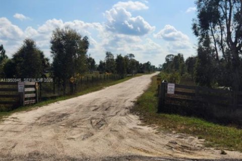 Terreno en venta en Punta Gorda, Florida № 2007070 - foto 3