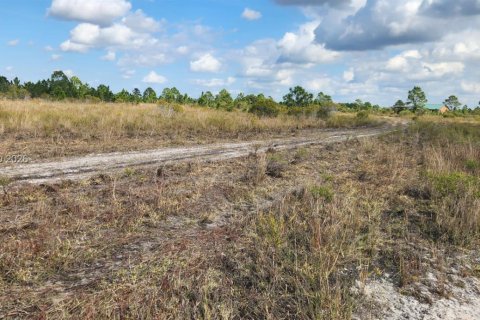 Terreno en venta en Punta Gorda, Florida № 2007070 - foto 11