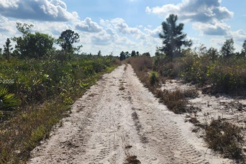 Terreno en venta en Punta Gorda, Florida № 2007070 - foto 8