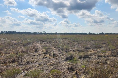 Terreno en venta en Punta Gorda, Florida № 2007070 - foto 14