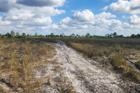 Terreno en venta en Punta Gorda, Florida № 2007070 - foto 18