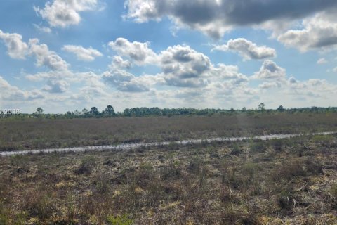 Terreno en venta en Punta Gorda, Florida № 2007070 - foto 10