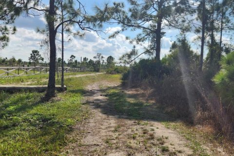 Terreno en venta en Punta Gorda, Florida № 2007070 - foto 7