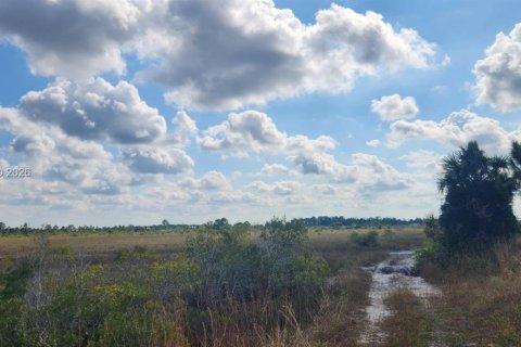 Terreno en venta en Punta Gorda, Florida № 2007070 - foto 17