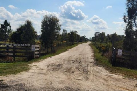 Terreno en venta en Punta Gorda, Florida № 2007070 - foto 2