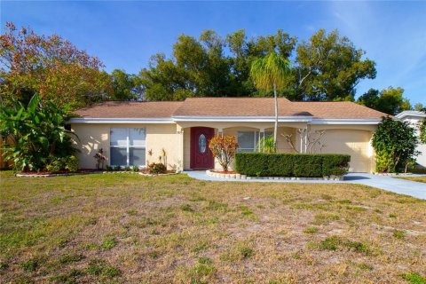House in New Port Richey, Florida 2 bedrooms, 117.43 sq.m. № 2324385