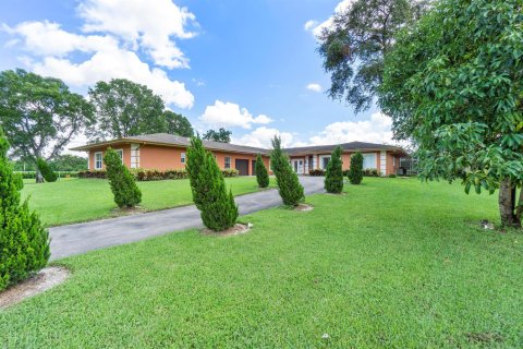 Villa ou maison à louer à Parkland, Floride: 4 chambres, 530.56 m2 № 2178087 - photo 3