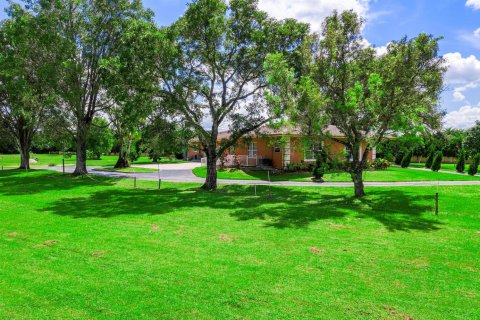 Villa ou maison à louer à Parkland, Floride: 4 chambres, 530.56 m2 № 2178087 - photo 12