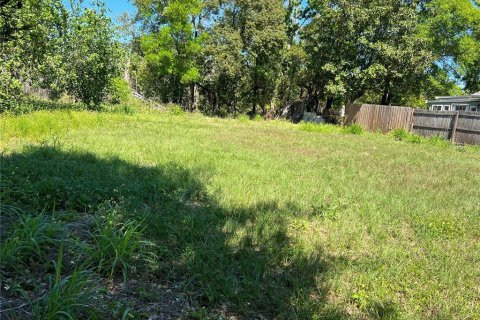 Land in Orlando, Florida № 377487 - photo 6