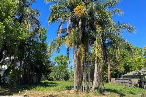 Land in Orlando, Florida № 377487 - photo 4