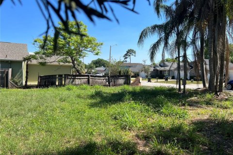 Land in Orlando, Florida № 377487 - photo 5
