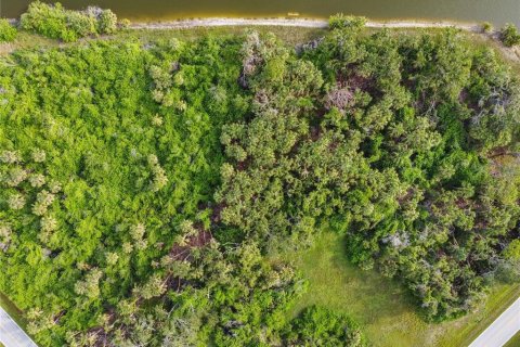 Land in Rotonda, Florida № 2373158 - photo 4