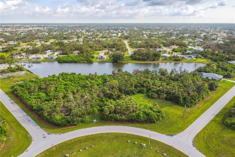 Land in Rotonda, Florida № 2373158 - photo 2