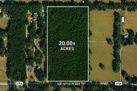 Terrain à vendre à Ocala, Floride № 2309848 - photo 6