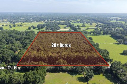 Terrain à Ocala, Floride № 2309848