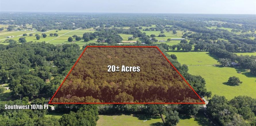 Terrain à Ocala, Floride № 2309848