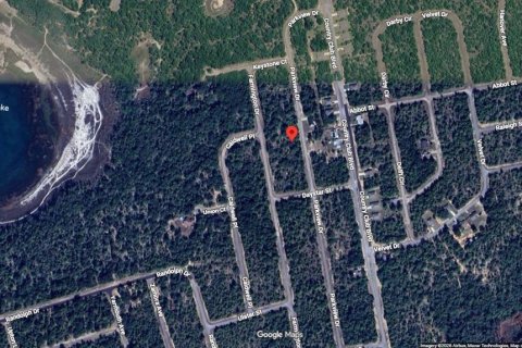 Land in Chipley, Florida № 2387511 - photo 5