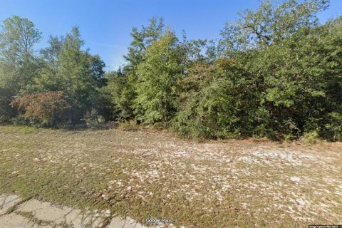 Land in Chipley, Florida № 2387511
