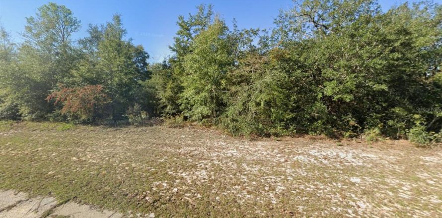 Land in Chipley, Florida № 2387511