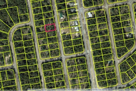 Land in Chipley, Florida № 2387511 - photo 2