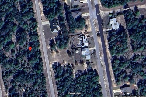 Land in Chipley, Florida № 2387511 - photo 6