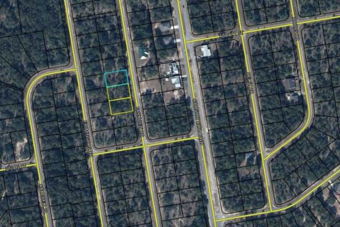 Land in Chipley, Florida № 2387511 - photo 7