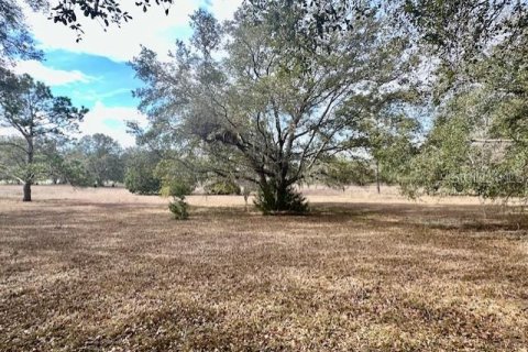 Terreno en venta en Bell, Florida № 1511805 - foto 10
