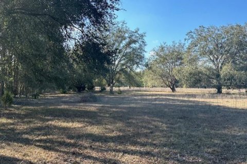 Terreno en venta en Bell, Florida № 1511805 - foto 4
