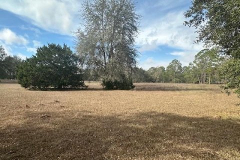 Terreno en venta en Bell, Florida № 1511805 - foto 9