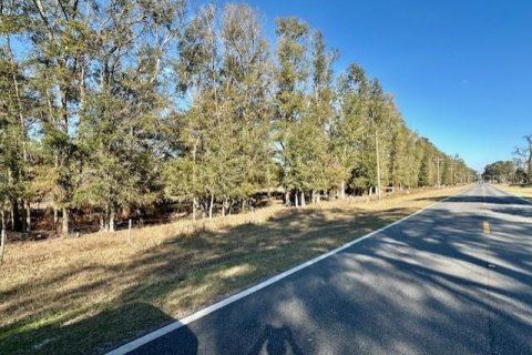 Terreno en venta en Bell, Florida № 1511805 - foto 1