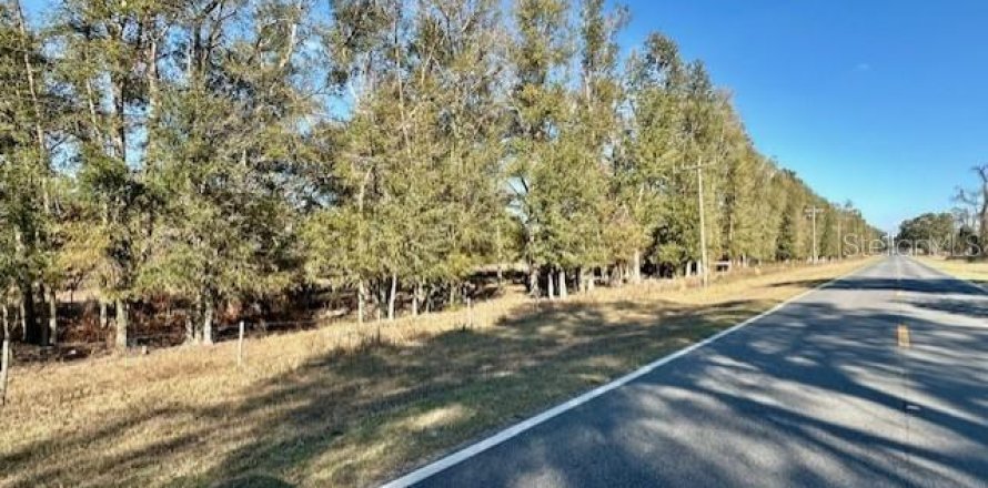 Terreno en Bell, Florida № 1511805