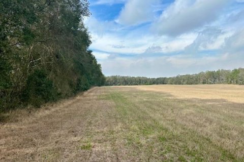 Terreno en venta en Bell, Florida № 1511805 - foto 13