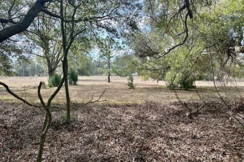 Terreno en venta en Bell, Florida № 1511805 - foto 12