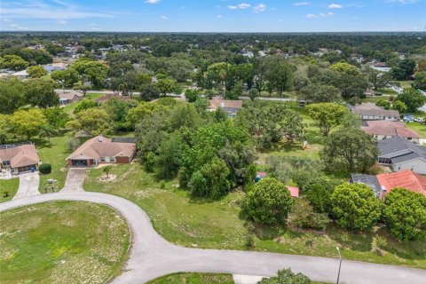Land in Spring Hill, Florida № 2267163 - photo 13