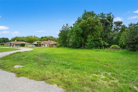 Land in Spring Hill, Florida № 2267163 - photo 22