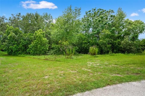 Land in Spring Hill, Florida № 2267163 - photo 20