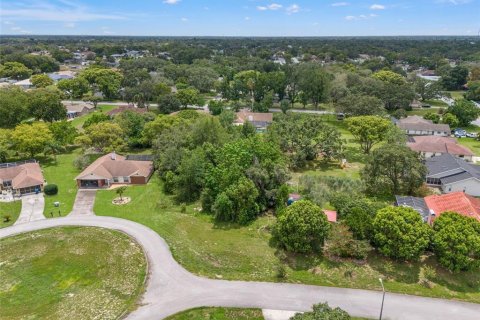 Land in Spring Hill, Florida № 2267163 - photo 3